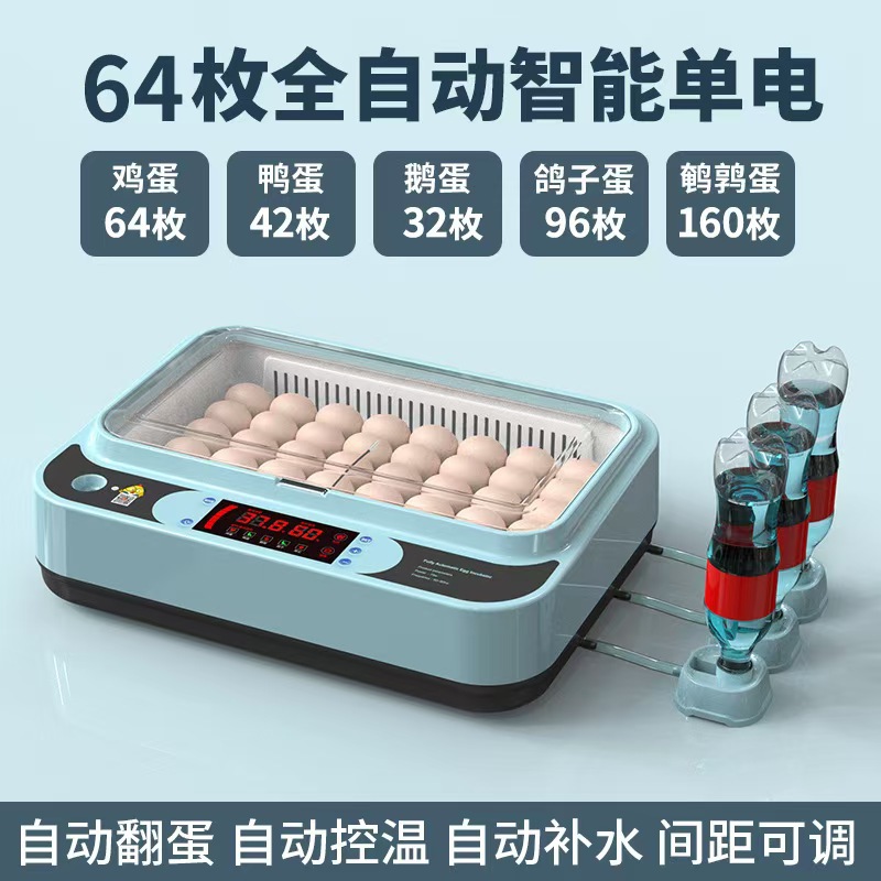 Incubadora de pollo de venta directa Incubadora doméstica pequeña Incubadora doméstica inteligente automática Caja de incubación de pollo