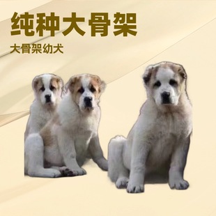 ���N�pѪ�y�Ё�����Ȯ��Ȯ���w�Ё����̴���Ȯ��Ǽ���Ȯ�����oԺ