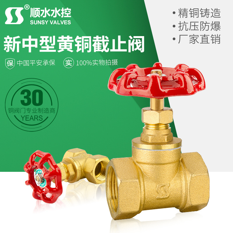 加厚水暖气丝口热熔PPR手动高温双外活接截止阀水管黄铜截止阀门