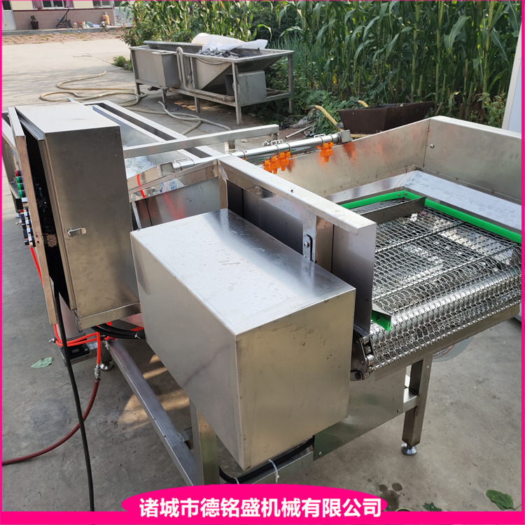 隧道式冰冻带鱼挂冰机 连续式鸡爪挂冰机流水线 小龙虾虾尾挂冰机