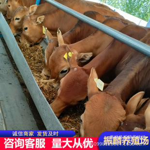 �����Sţ��ţ�كr�� ���������Sţ��ţ�ٶ���һ�^ ���д�ĸţ