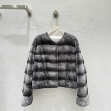 2025¿Ś|srֿSˮëƤݴ