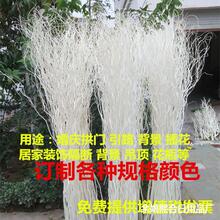 ��Ȼ��֦����� ������֧ ��c���T ��ˇ��֦ ���������b�Ʒ