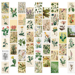 動物と植物の壁カード 50 枚、背景寮の壁の装飾、レトロな花のカード、心温まるメッセージカード、はがき