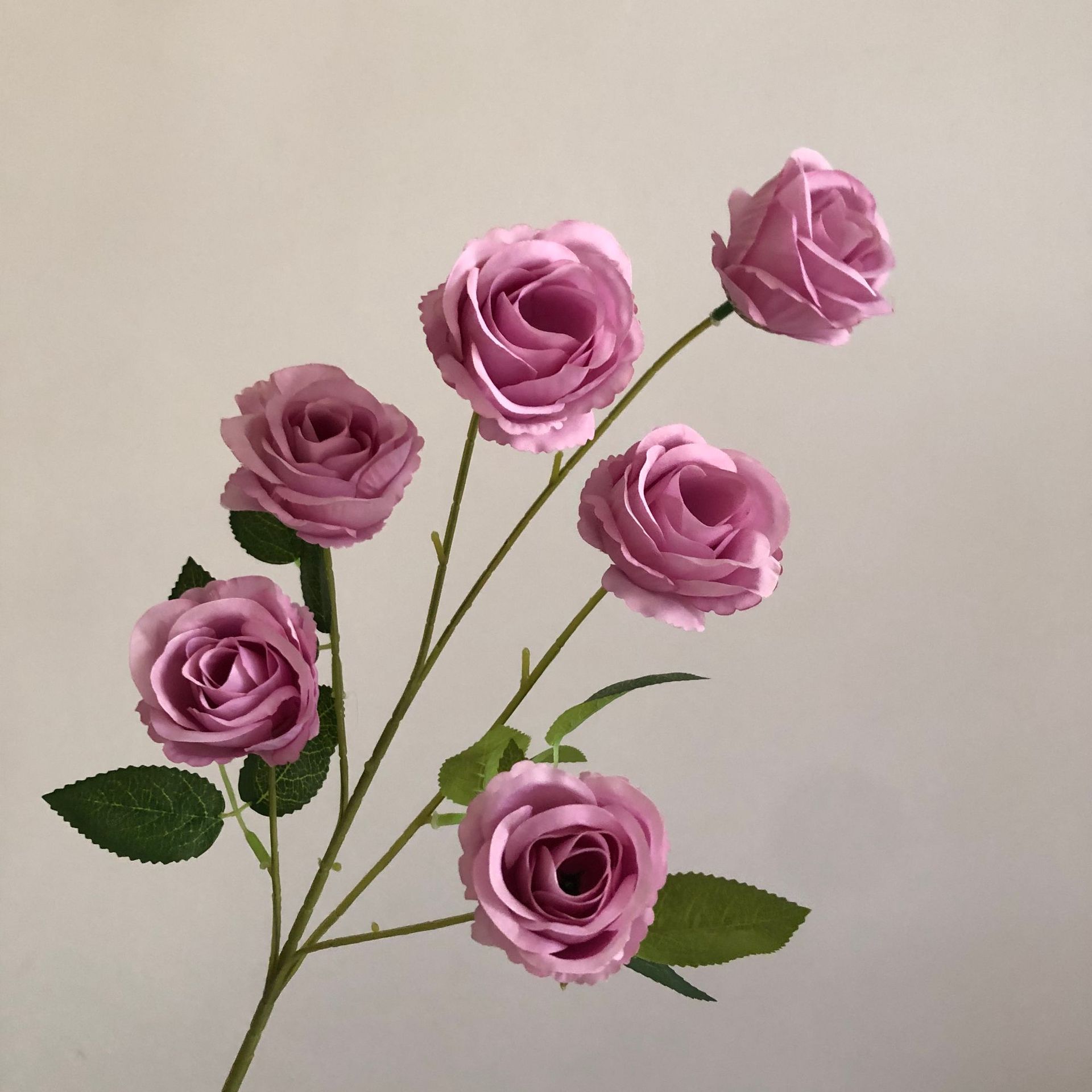 퍼플 핑크