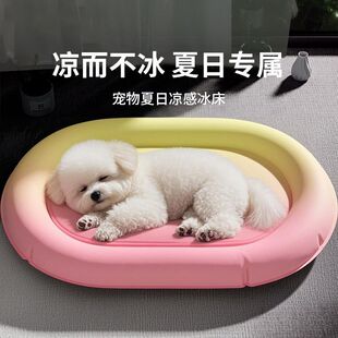 �������C������|؈���ϯ�|���ļ�������������˯��˯�X����ץҧ