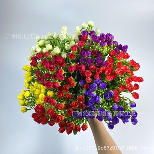 6�����m�����滨 6��36�� ���m��36�^õ�廨�� �������õ�廨��