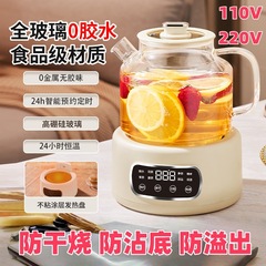 110V美规养生壶家用1.2升多功能全玻璃煮茶器烧水壶办公室花茶壶