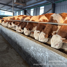 �F�������Sţ��ţ�r�� ���T����ţС��ţ ��ţţ�� ���w��ţ