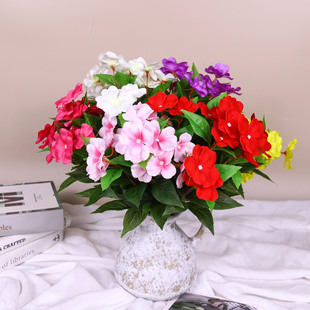 �羳���滨�P�ɻ� �����ٻ��� ��c�Ż� �@�־��^���N�� �ҾӔ[��