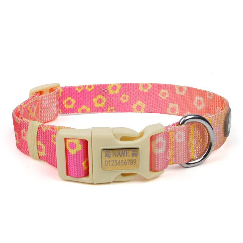 Fábrica de venta caliente perros collar de moda gradiente collar de tracción inscrito para evitar pérdida de artículos de mascotas de seguridad al por mayor