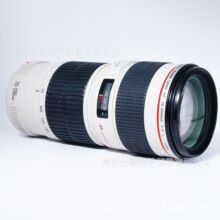 EF 70-200mm f/4L USM镜头 远摄变焦长焦镜头 单反镜头打鸟小小白