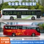 可移广告定制户外车身贴