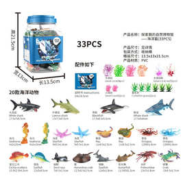 自然博物馆明星动物大白鲨海洋动物模型桶装主题玩具仿真动物模型