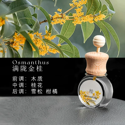 Car Air Outlet Aromatherapy Osmanthus Lasting Fragrance Car Deodorant Fresh Perfume Car Perfume Car Fragrance (Car Perfume Aromatherapy) - full-married-gold-cinnamon-10ml