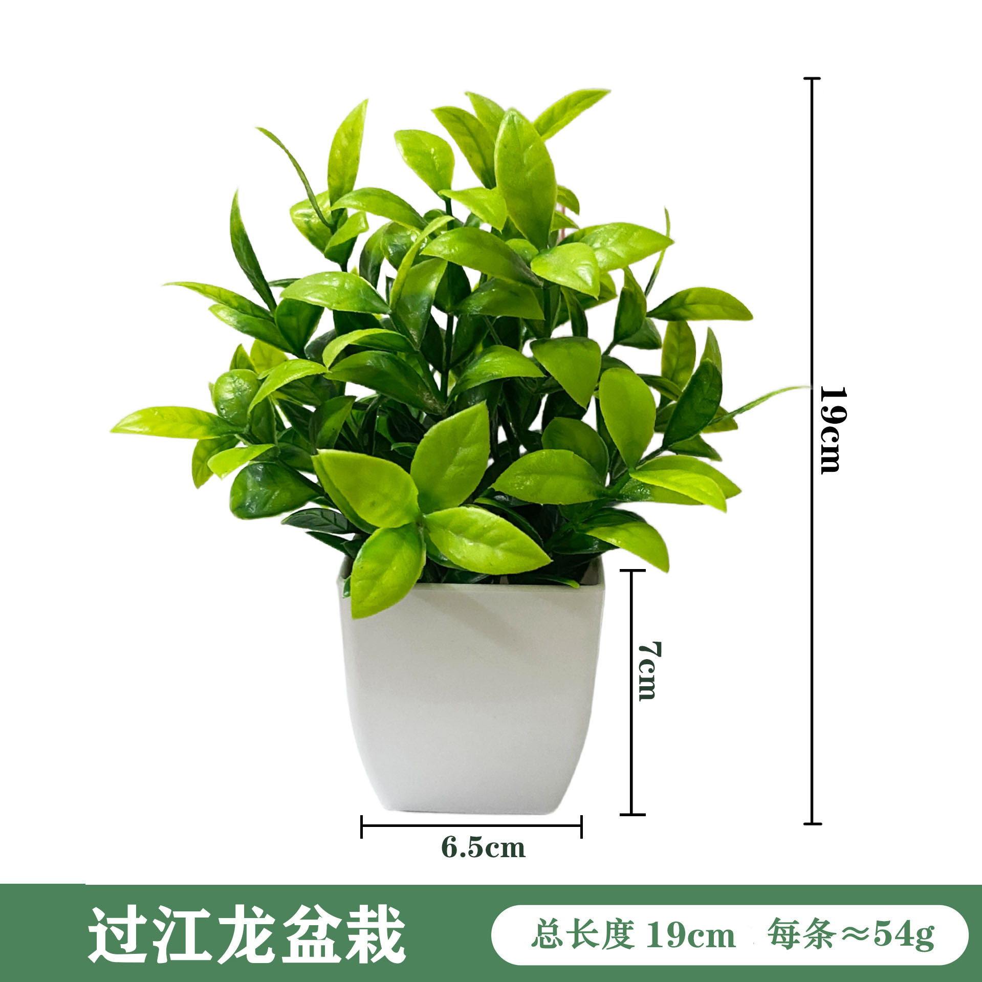 강을 건너 용화분-백화분 21cm