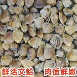 ���r���r�����ĸ��r�����ۻ����S���ĸ�������ˮ�aؐ����l����