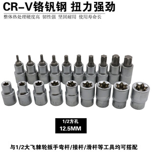 ����E����Ͳ���b���w1/2���̓�������Ͳ�����׹����^�M�����X20