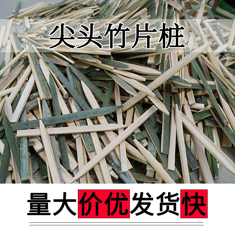 Бамбуковые остроконечные заостренные сваи на строительной площадке