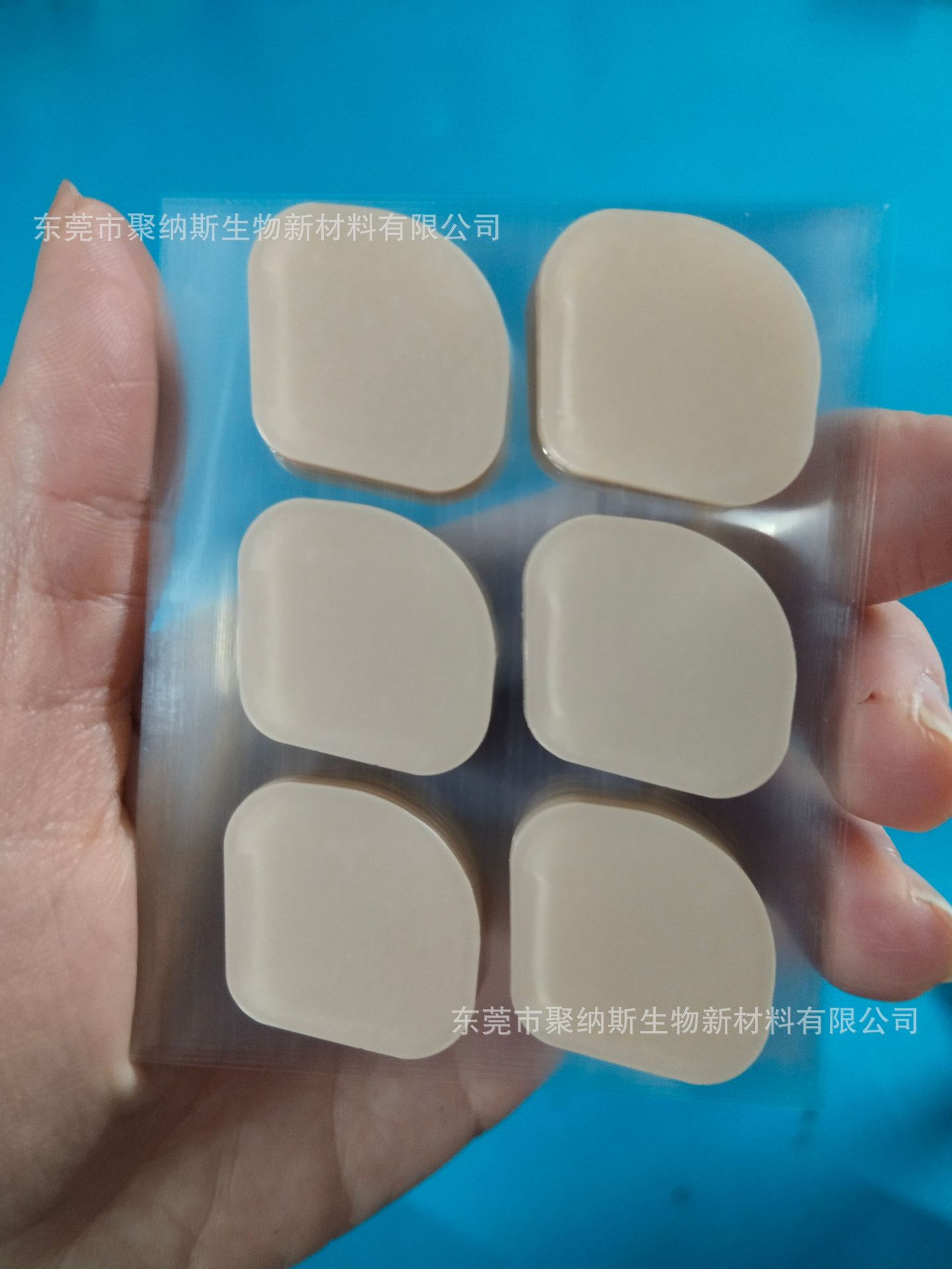 微信图片_20241230104227