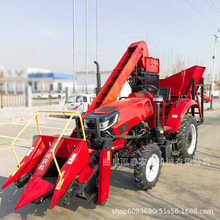 ոCСrÃнն߀CΰƤCؓʽ