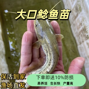 ����T�~����ˮ��ˮ�Bֳʳ�û�����T���T�~����T���X�T�~��