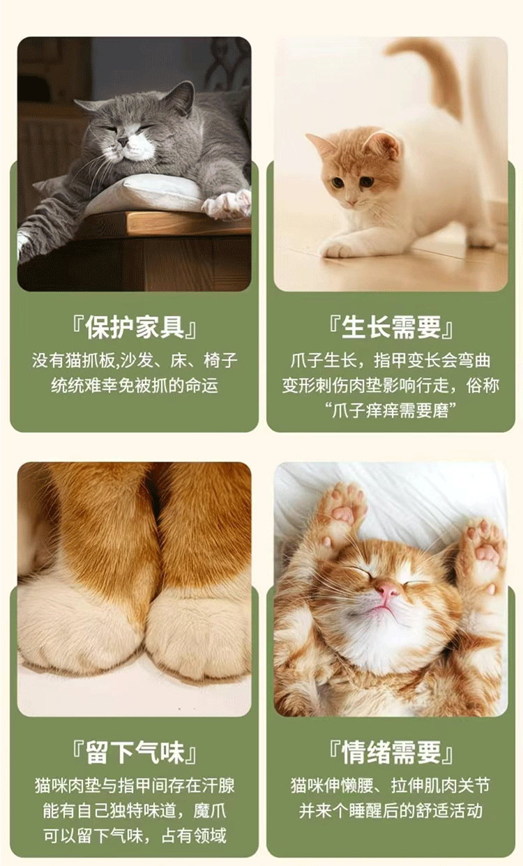 C-_Users_Administrator_Desktop