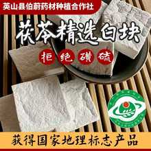 茯苓块 茯苓统块/手选茯苓块/粉 天然晾晒 无硫云茯苓中药材批发