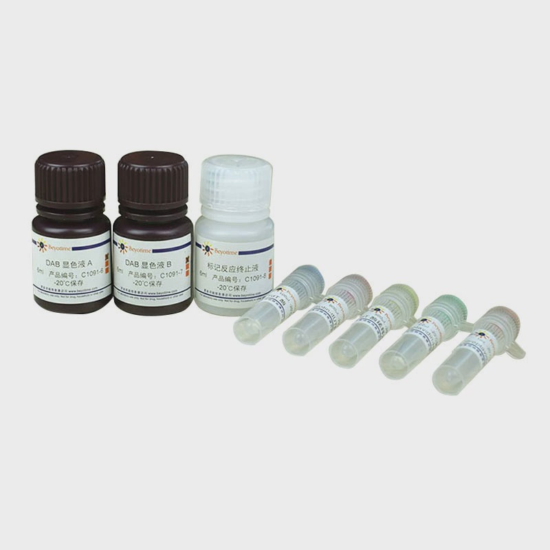 C1091-20次 TUNEL细胞凋亡检测试剂盒(显色法) 碧云天