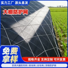 其他安全网;绳子类;大棚网