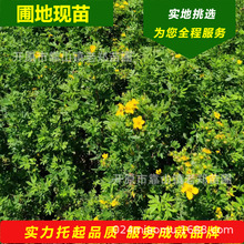 �����ṩ��¶÷����@�־G����S�^У�^ͥԺֲ�������÷����ľ