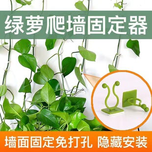 �G�}�����G�}�̶������̶��A�������h�o�۾Gֲ��������늾�����