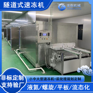双螺旋巴沙鱼速冻机 经济高效制冷设备 水产品包冰 鲽鱼冰衣机-阿里巴巴