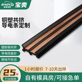 Mold Opening Custom Copper Plastic Co-Extruded Guide Rail Strip Plastic Track Strip Conductive Strip Insulation Flame Retardant Magnetic Track Strip