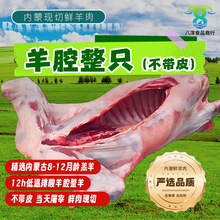 ��ǻ�w��ֻ�����l�����^���s������ǻ�w���r�����ǻ�w