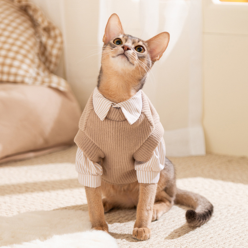 秋冬季学院风猫咪衣服背心衬衫两件套情侣装德文泰迪狗狗宠物服装|undefined