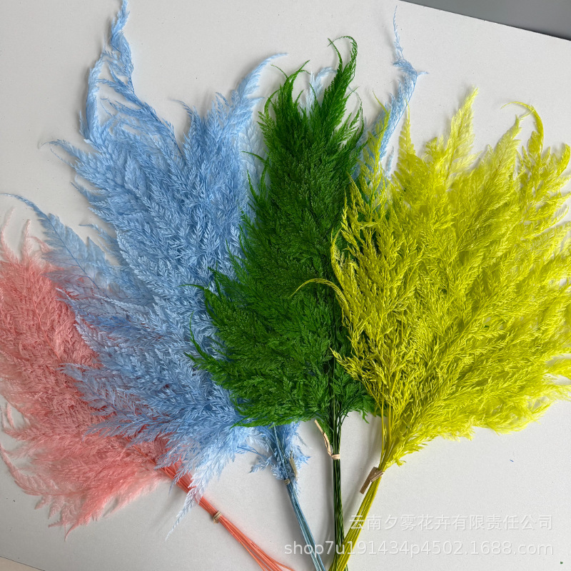 Snowflake Fern Eternal Flower Trendy Fern DIY Bouquet Materials Pressed Flower Materials Wedding Home Decoration Photography Props