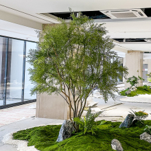 ��Ʒ��������ͷ���٘��쾰�҃Ⱥ��s���^�����Gֲ��������b�