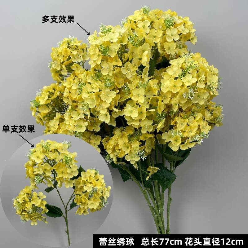 노란색 레이스 수국