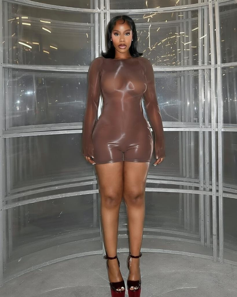 Glänzender Transparenter Bodysuit Langarm Elastischer Catsuit_voghion.com