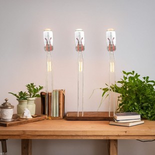 Manufacturer Supplies Small Light Bulbs, Miniature Light Bulbs, Switch Light Bulbs, Spotlight Bulbs, Toy Light Bulbs, Button Lights, Mini Lights