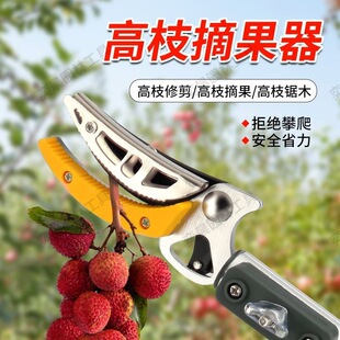 ժˮ��������s�U��ժ��֦������÷�������֦���߿�֦���ü���
