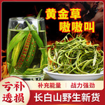 长白山野生正宗肾精草补精强肾化石草东北黄金草嗷嗷叫肾经肾精茶