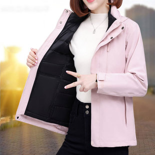 ��q��đ����һ�_�h������Ů��������2025�¿������L�A�ˁ��R�d