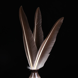 �S��ֱ�N �Zë ���� 񄱳����ë ��ë�ƹP���� ��̨��ˇƷ�b�