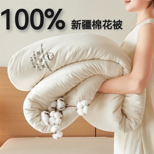 Class a 100% Cotton Quilt Winter Quilt Student Dormitory Quilt Pad Summer Cool Quilt Air-Conditioned Quilt Spring & Fall Quilt