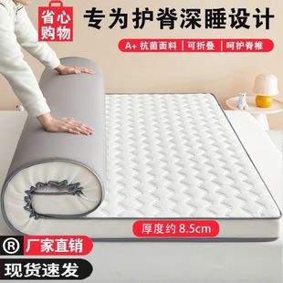 Four Seasons Mattress Home Thickened Soft Mat Student Dormitory Single and Double Tatami Mattress Ty