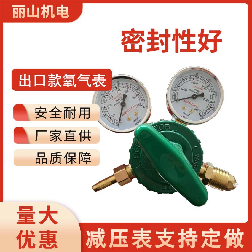 双头氧气表防震表丙烷二氧化碳氩气氮气减压器iso外牙减压器