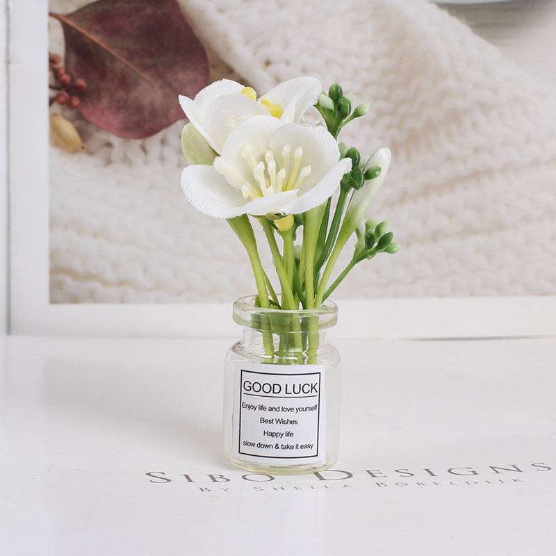 Casa de muñecas para jugar con miniatura DIY accesorios de vidrio mini jarrón para jugar con flores de flores pequeños jarrones adornos de ciruela
