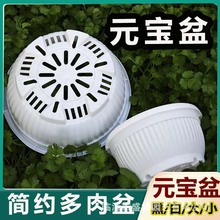 多肉老桩盆圆口万象元宝盆大口径黑色硬质塑料矮胖花盆老桩专用